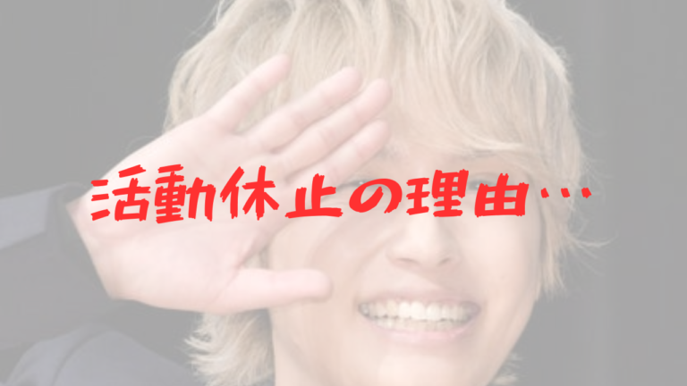 活動歴および当時の関連ビジュアル記録